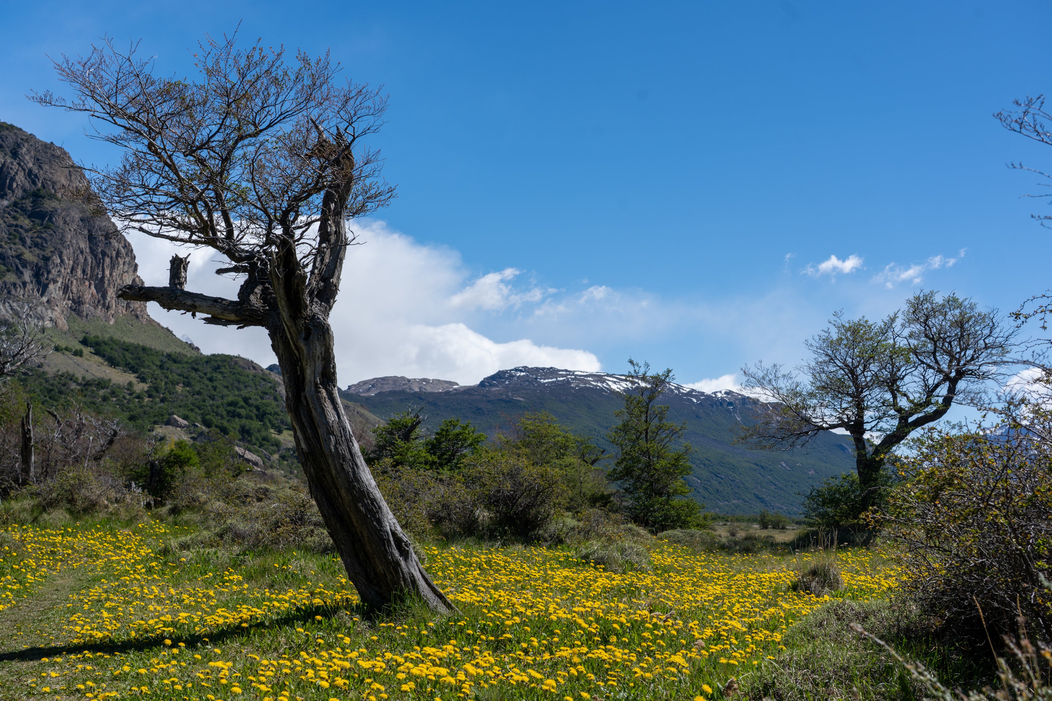Alongside Rio de las Vueltas