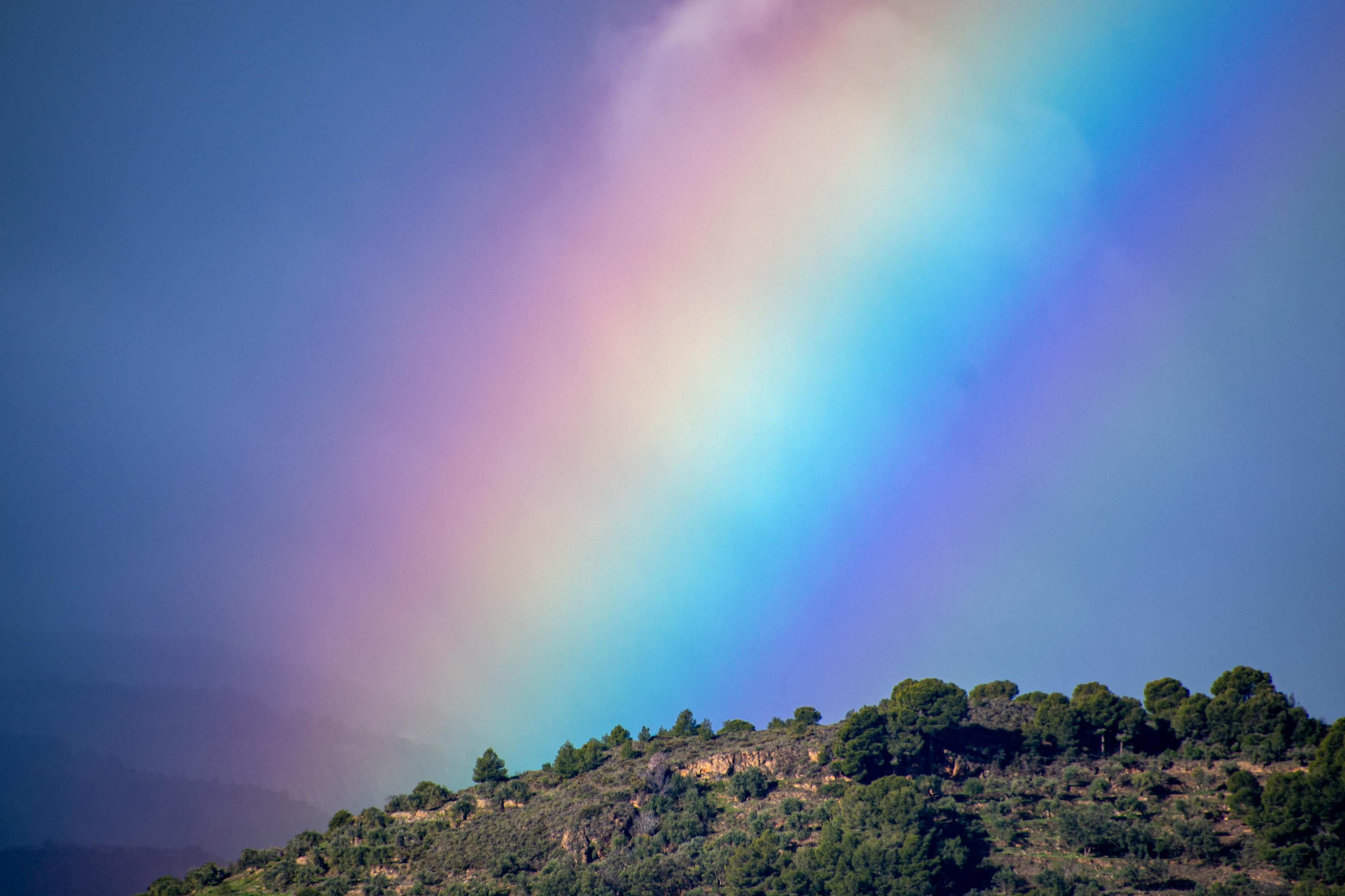 Part of a bright rainbow coming down behind a tree covered hill.