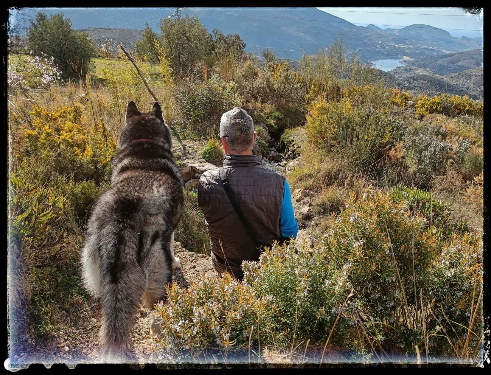 The back view of my husband, sitting down and the back view of Arko the husky standing next to him.