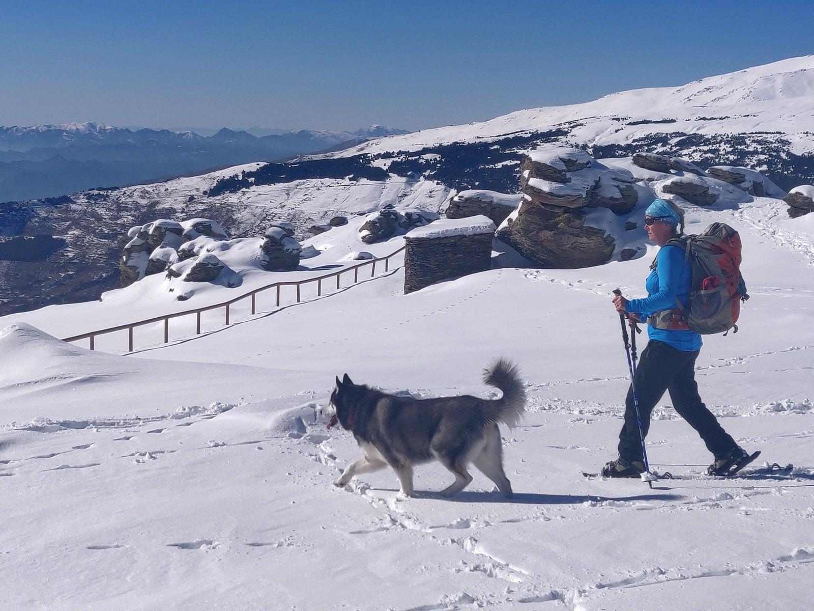 A picture of a woman and her husky dog. The woman is snowshoeing. She is wearing a blue top and black trousers and a rucksack on her back. They are walking through a snowy mountainside with rocks and trees. In the distance are more snowy mountains. The sky is blue.