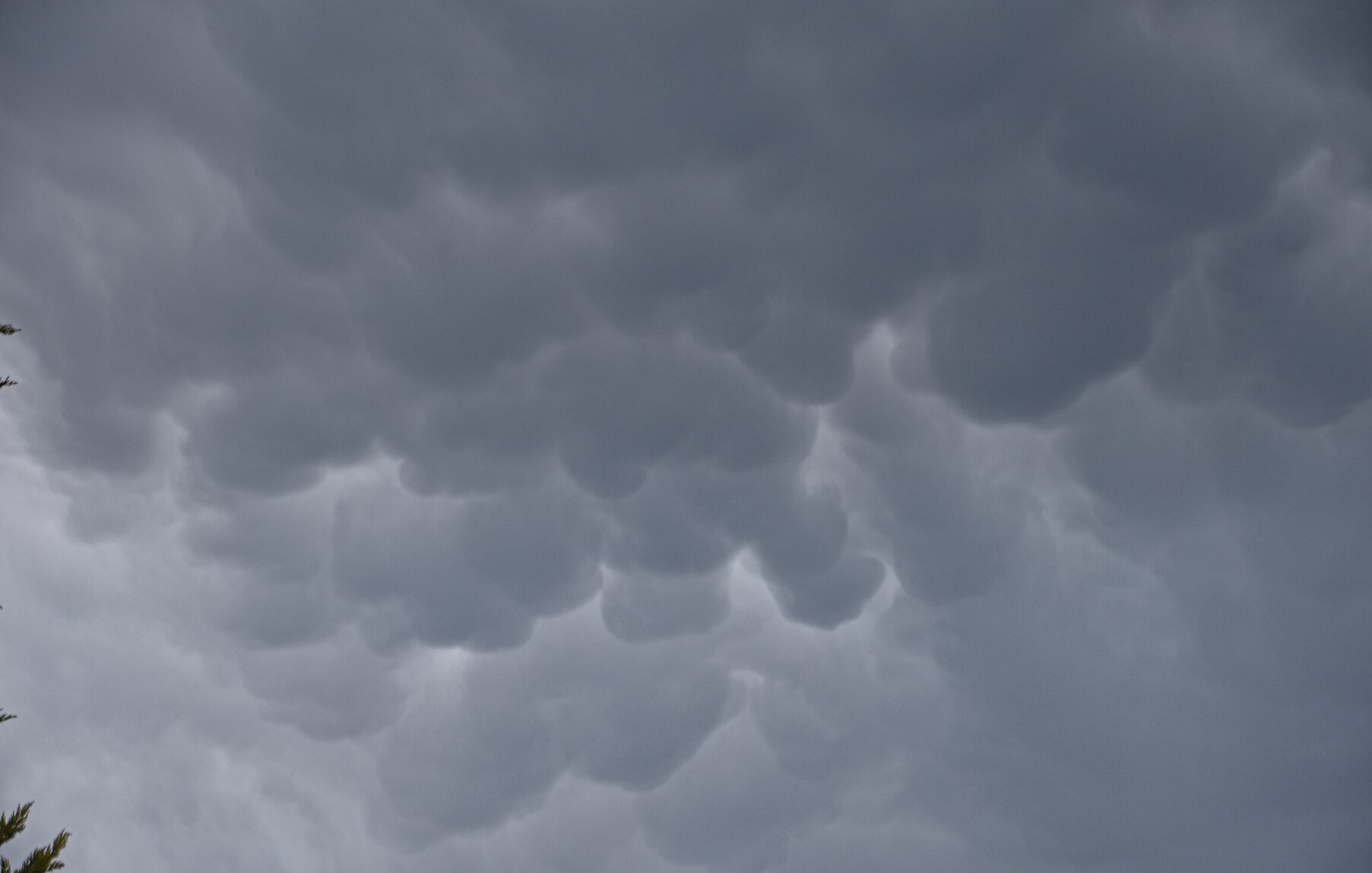 Mammatus clouds