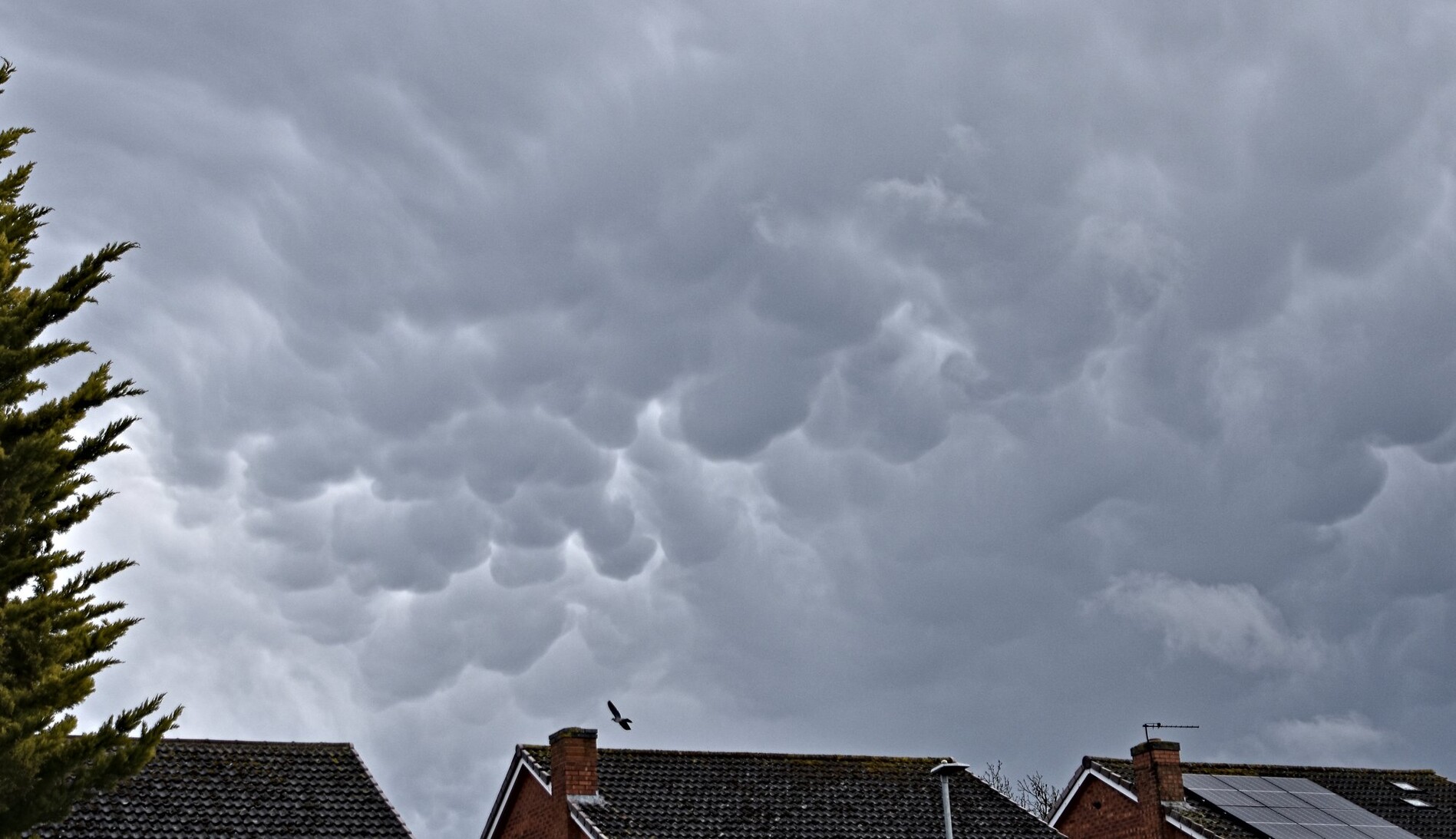 A view over house rooftops with Mammatus clouds in the sky