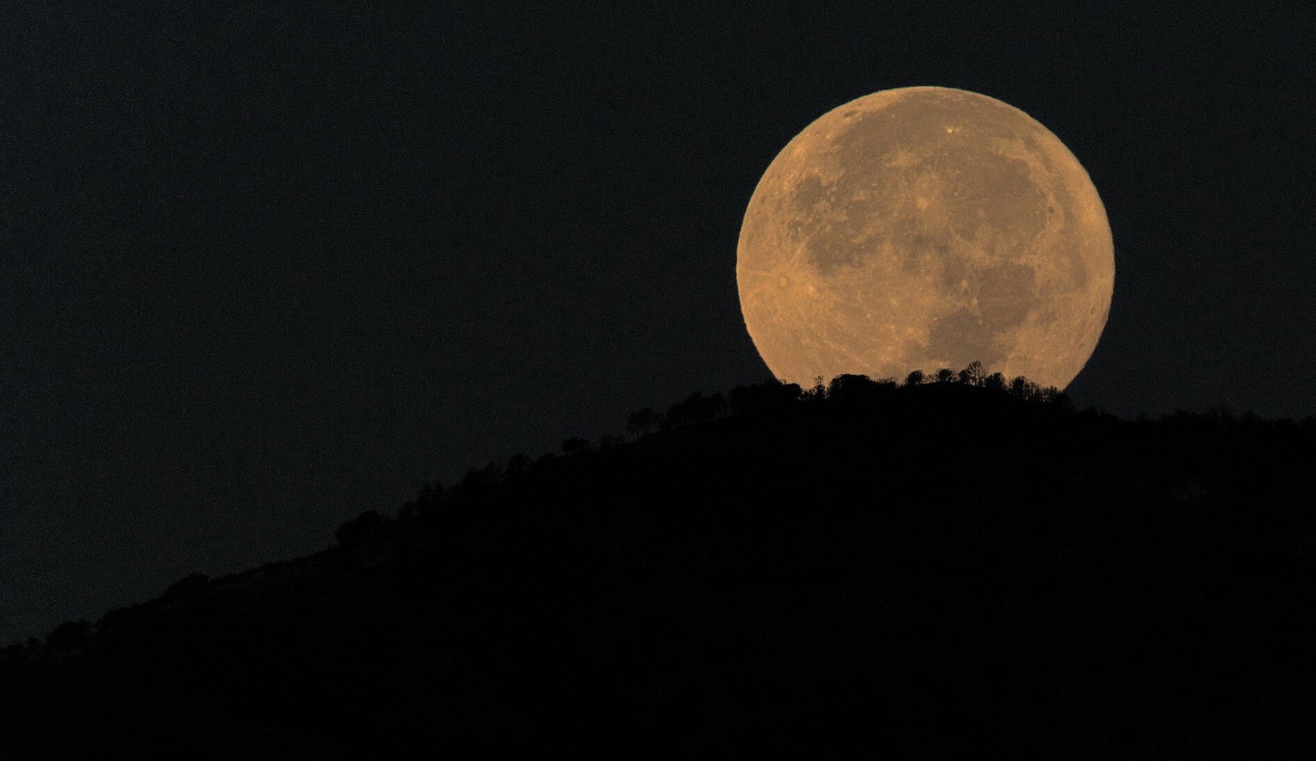 The Blue Super Moon setting behind a mountain with the trees silhouetted by the moon