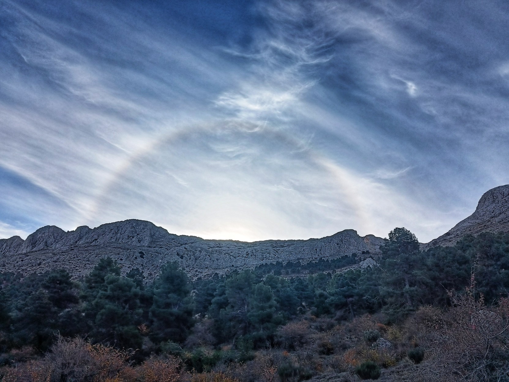 A picture showing a partial halo in a blue sky with light high clouds as the sun rises behind a mountain range with pine trees in the foreground