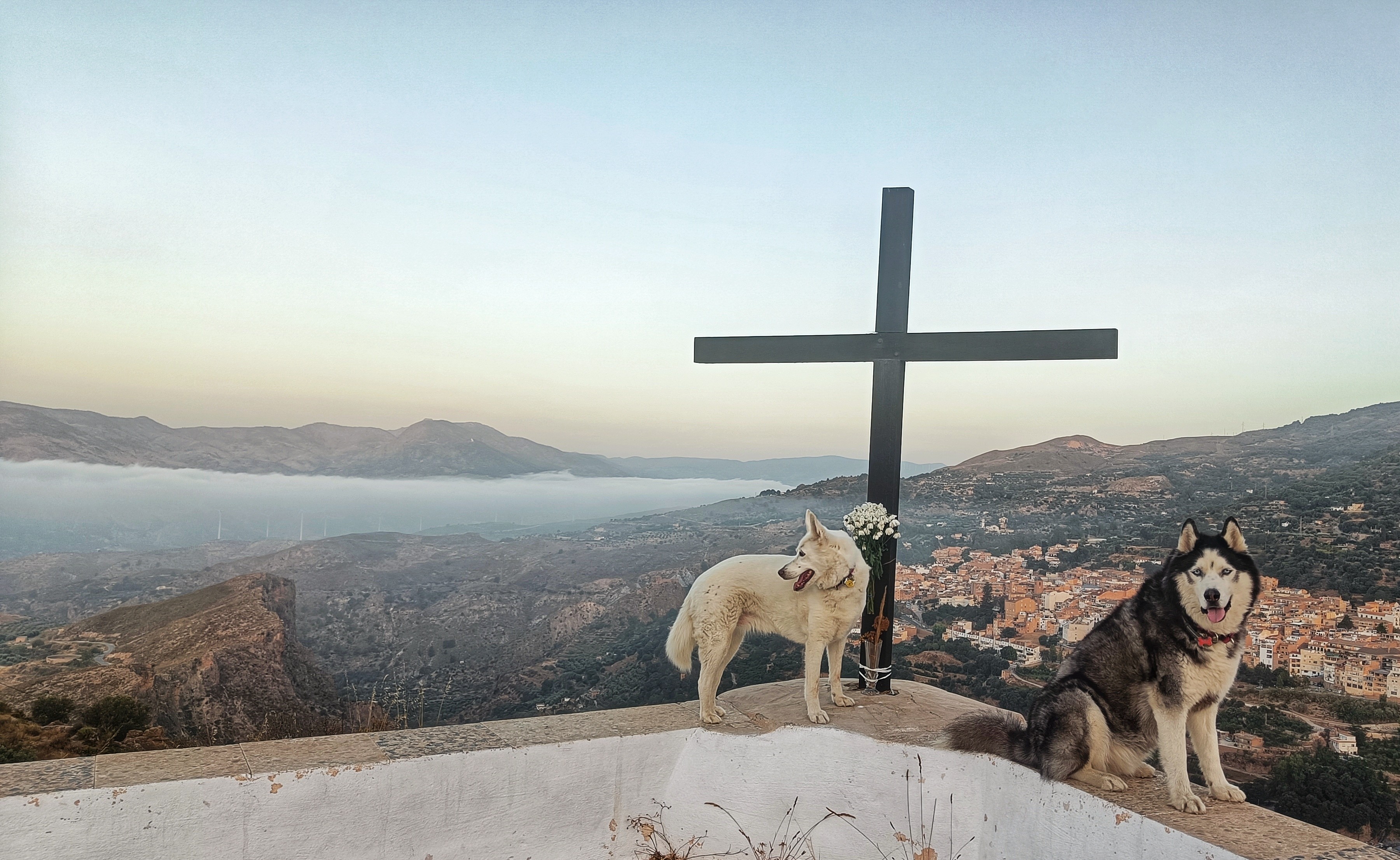 Two dogs sat either side of a wooden cross. A black and white husky is sat on a wall to the right of the cross, a white dog stood to the left of the cross looking over her shoulder. The view behind is of a Spanish village with various hills and some mist in the valley.