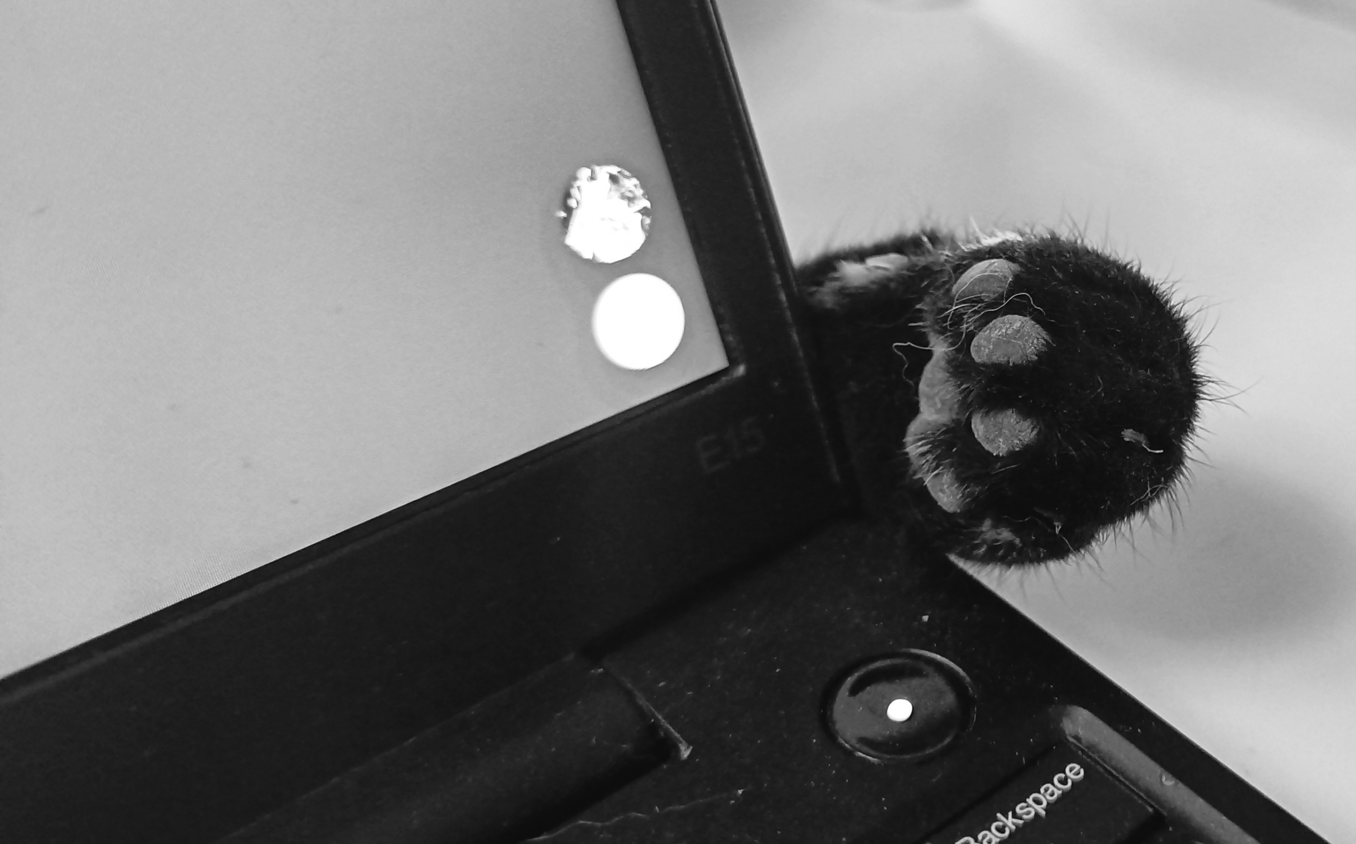 Black and white picture of a black cats paw popping around the sides of the laptop while hiding herself behind the laptop.