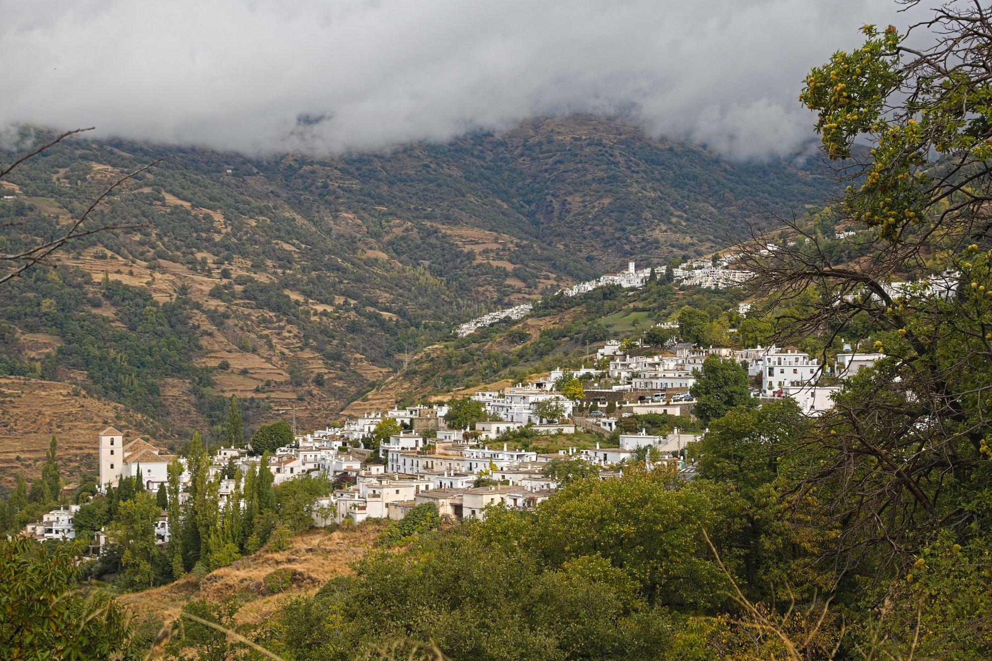 Two Spanish white villages of Bubion and Capileira sitting on the mountainside below cloud level. On the other side of the gorge is a hillside of trees and terraced fields.