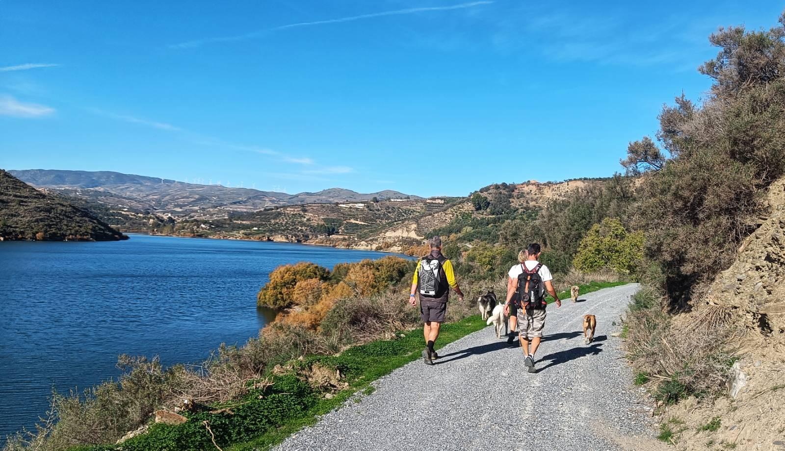 Three people and four dogs walking on a dirt track above and to the side of a lake. The lake is blue with a few ripples on it. Trees and hillsides surround the lake, some wind turbines can be seen in the distance. The sky is blue.